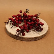 Ramuri de fructe de pădure