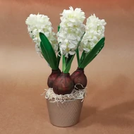 Alte tipuri de flori