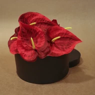 Anthurium (Floarea flamingo)