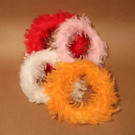 Baza coroanei de pene