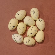 Pachete de ouă din polistiren