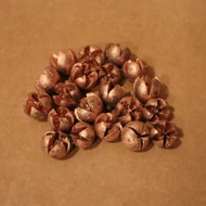 Coroana floare uscată