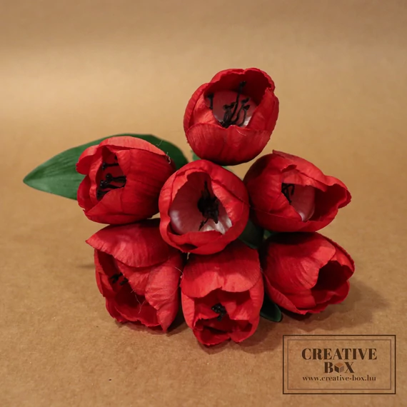 Piros tulipán csokor - Nagy
