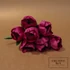 Kép 2/3 - Lila tulipán csokor - Nagy